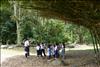 Guias Scout (1)